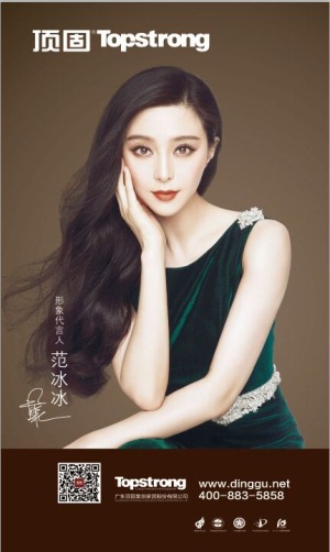 公司介绍